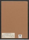 Navicula iridis var. amphirgomphus Ehrenb. (de-Toni-Nr.: Genus 1, Species 552) Zeichnungen Sammlung Grunow Mappe 00480 (Herbarium_W_Grunow_drawings_Folder_00480)